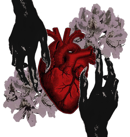 A pair of black clawed hands reaching over an anatomically correct heart, one over the bottom right, one over the top left. The heart is set over two bouquets of light pink rhododendrons.
