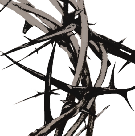 a tangled closeup of desaturated thorns